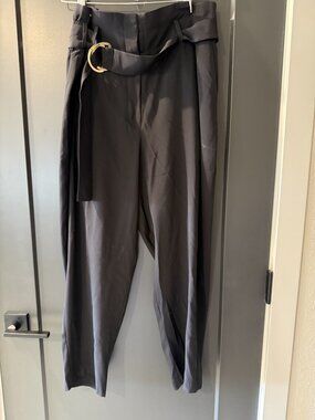 Cuyana Silk Paperbag Pants Black D-Ring Belt $268